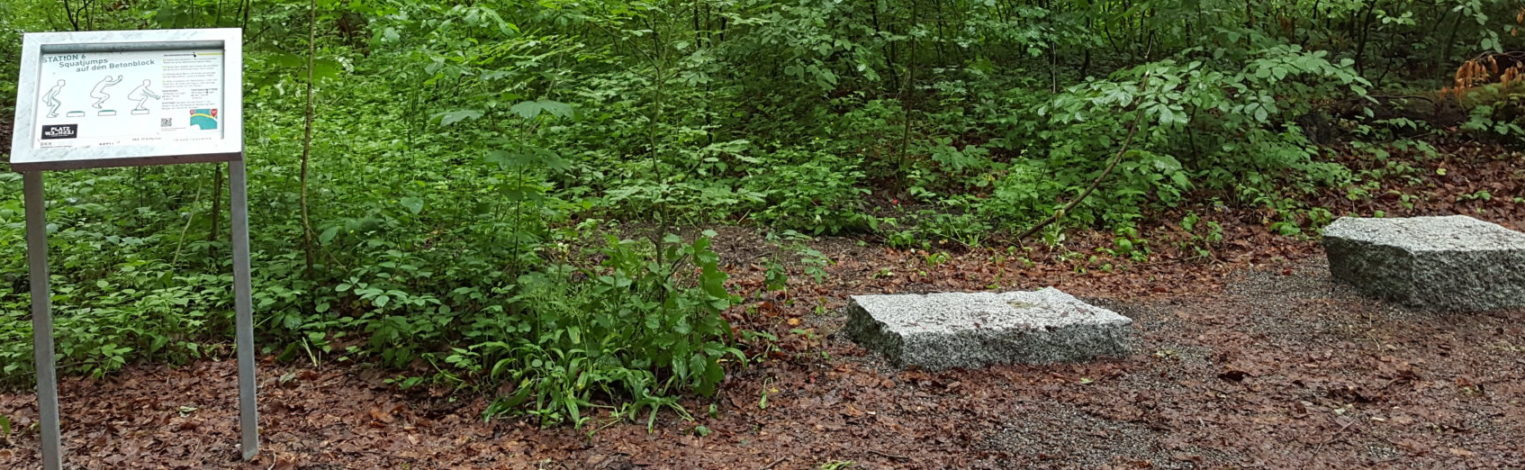 Foto von Riedlewald-Parcour Steinehüpfen